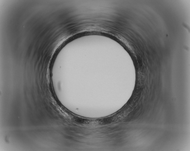 X0000097980791200804141116