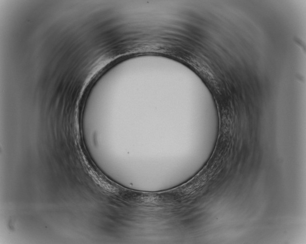 X0000097980792200804141116