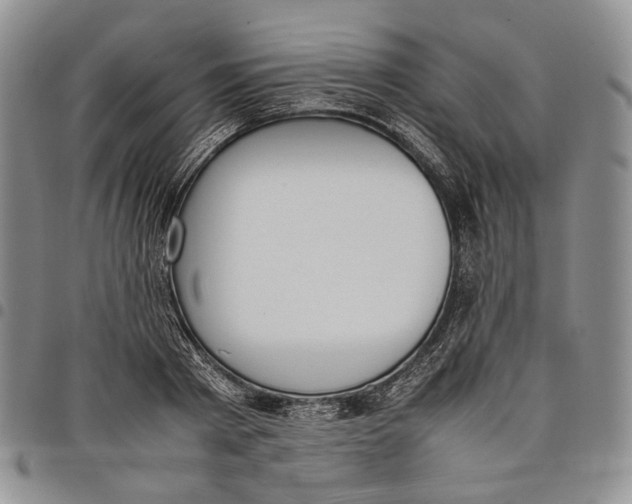 X0000097980793200804141116