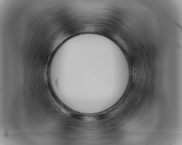 X0000097980794200804141116