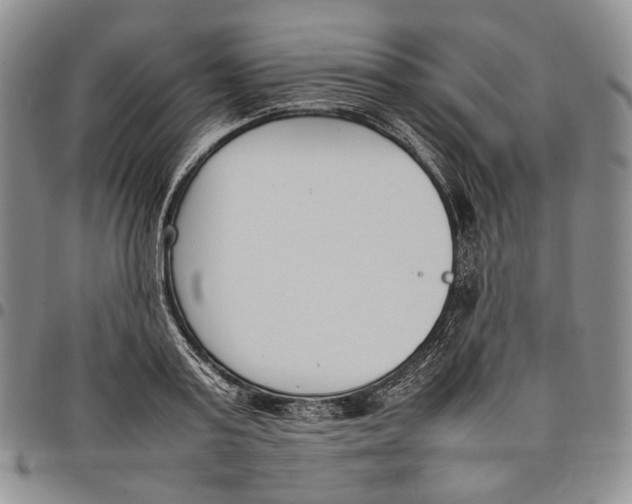 X0000097980795200804141116