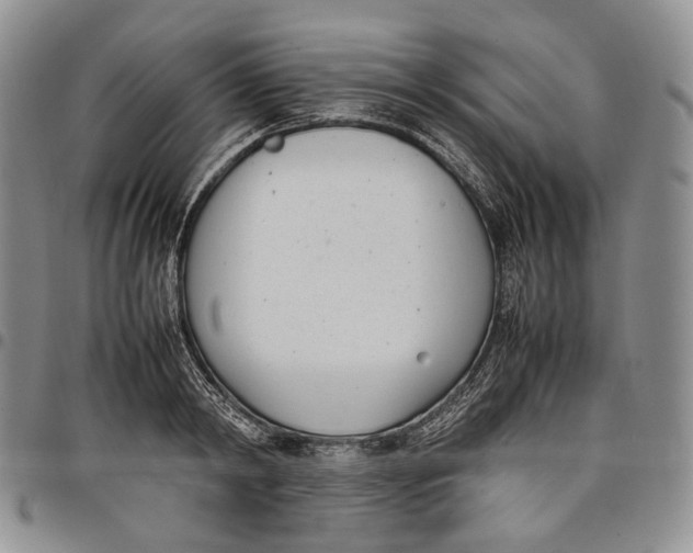 X0000097980798200804141116