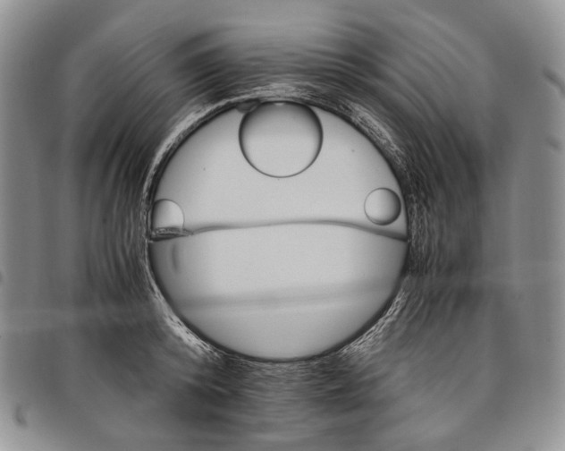 X0000097980800200804141116