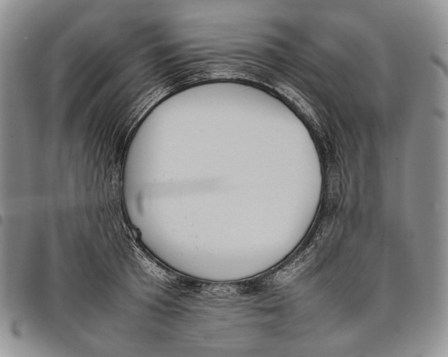 X0000097980801200804141116