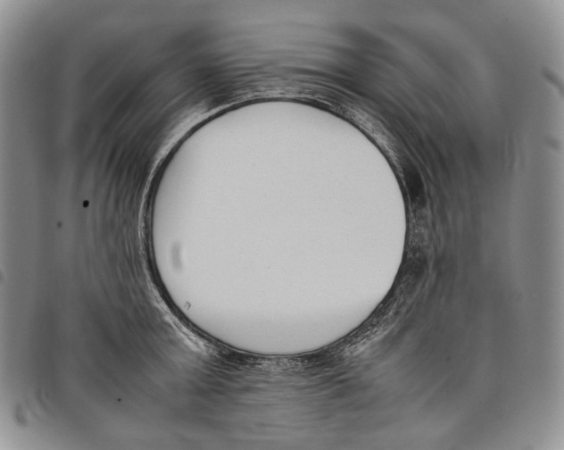 X0000097980803200804141116