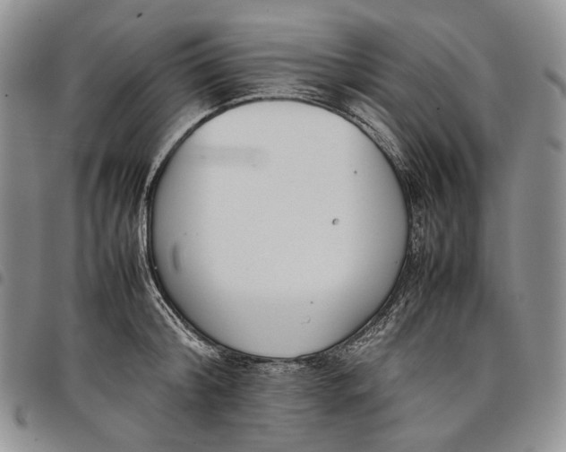 X0000097980804200804141116