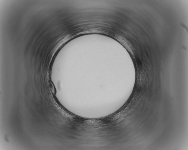 X0000097980805200804141116