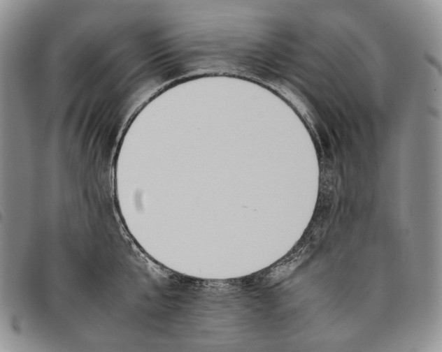 X0000097980807200804141116