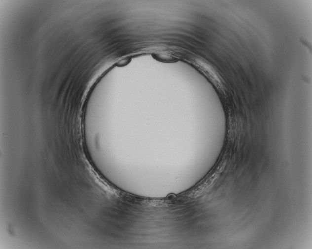 X0000097980808200804141116