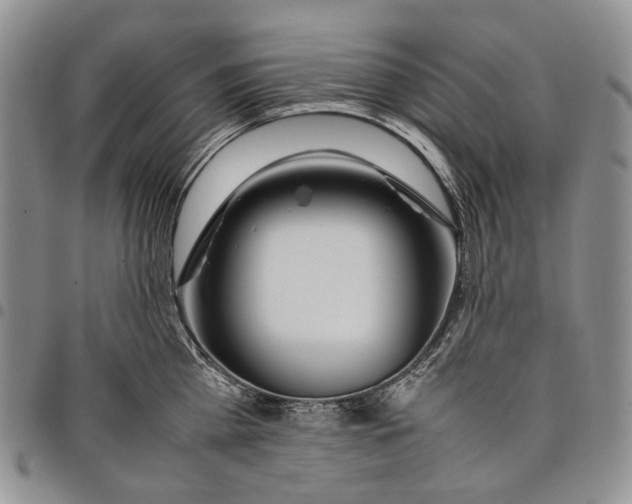 X0000097980809200804141116