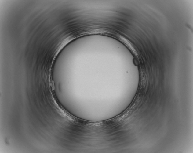 X0000097980810200804141116