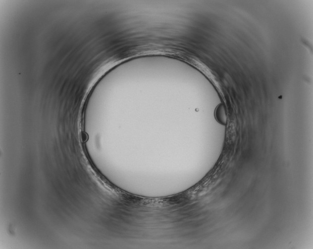 X0000097980811200804141116