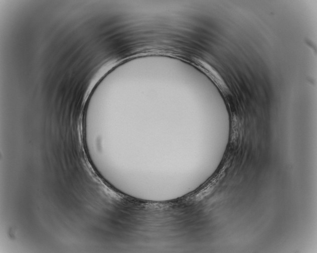 X0000097980812200804141116