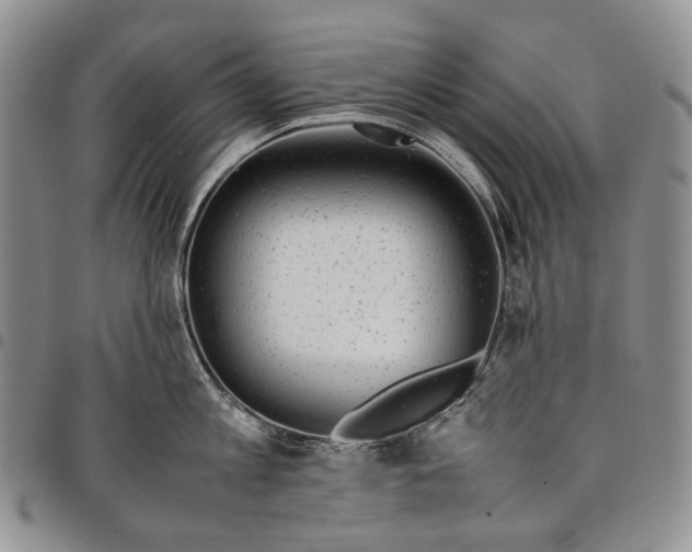 X0000097980813200804141116