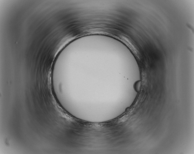 X0000097980814200804141116