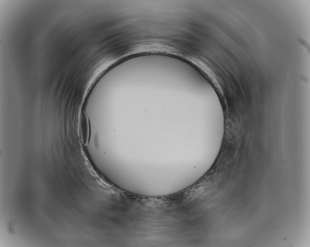 X0000097980815200804141116