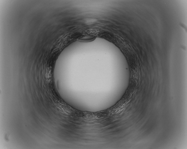 X0000097980818200804141115