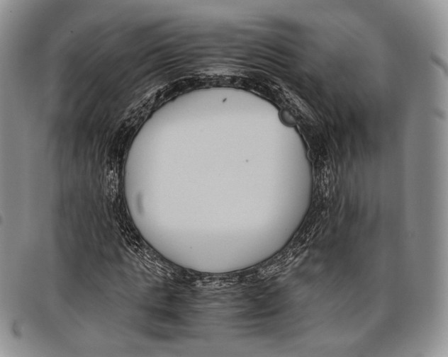 X0000097980821200804141115