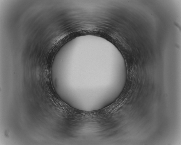 X0000097980822200804141115