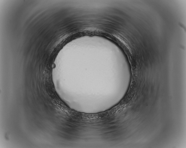 X0000097980823200804141115