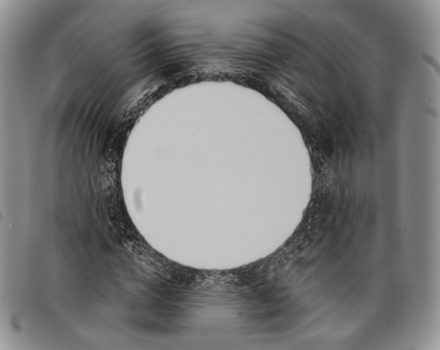 X0000097980824200804141115