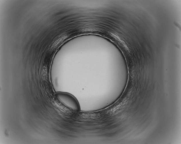 X0000097980825200804141115