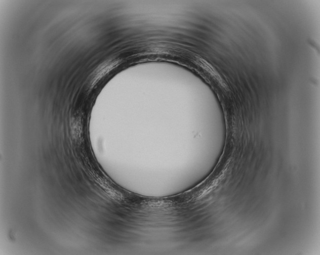 X0000097980826200804141115