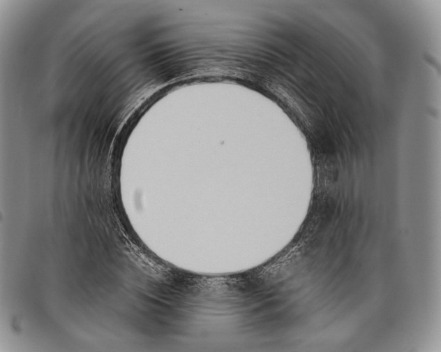 X0000097980828200804141115