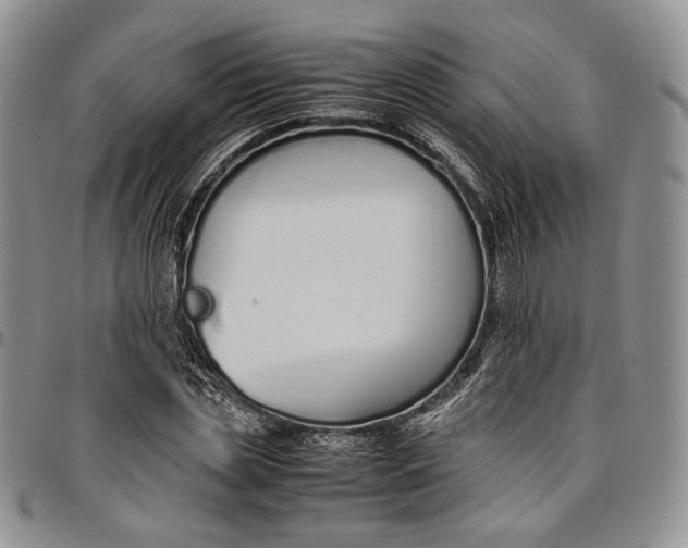 X0000097980829200804141115