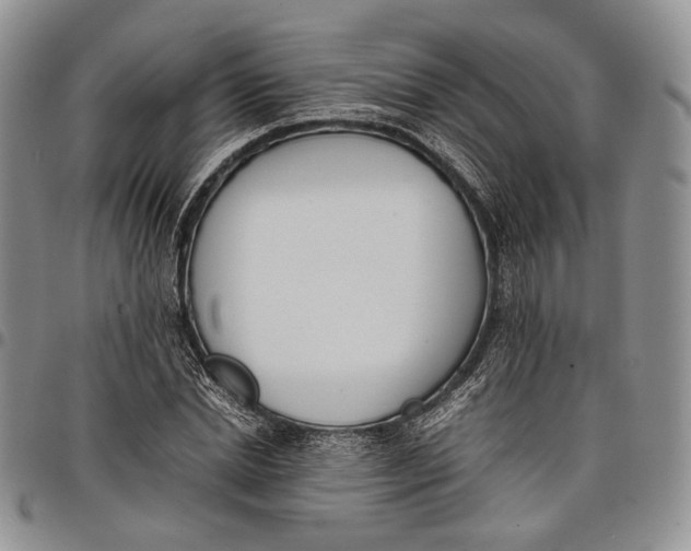 X0000097980830200804141115