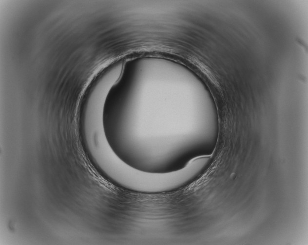 X0000097980832200804141115