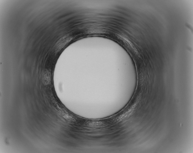 X0000097980833200804141115