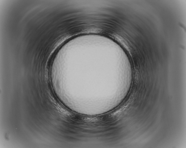 X0000097980835200804141115