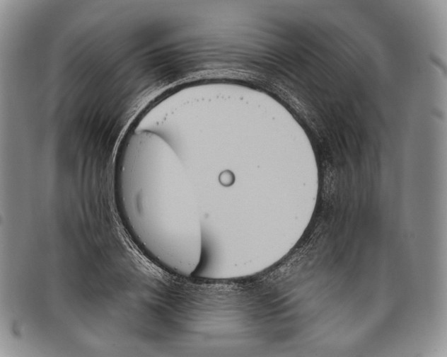 X0000097980836200804141115