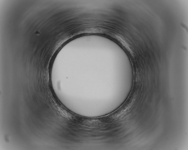 X0000097980837200804141115