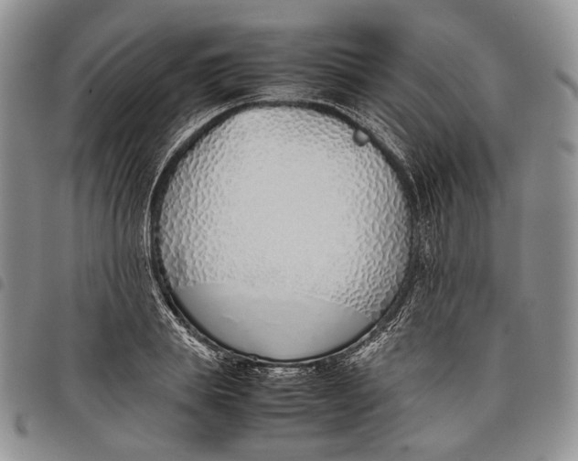 X0000097980839200804141115