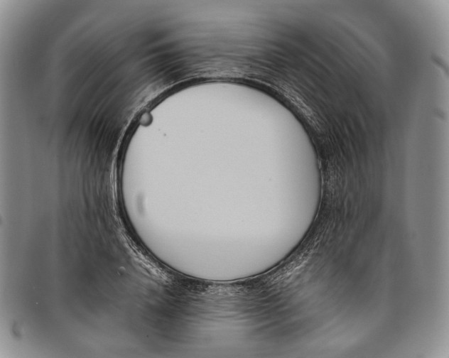 X0000097980840200804141115