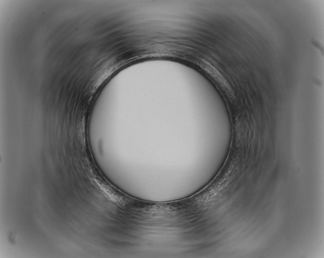 X0000097980842200804141115