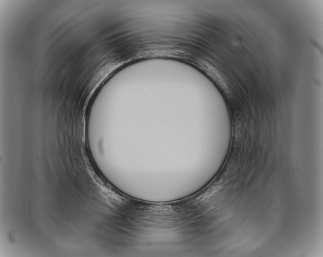 X0000097980844200804141115