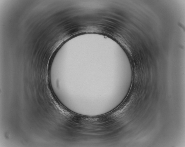 X0000097980845200804141115