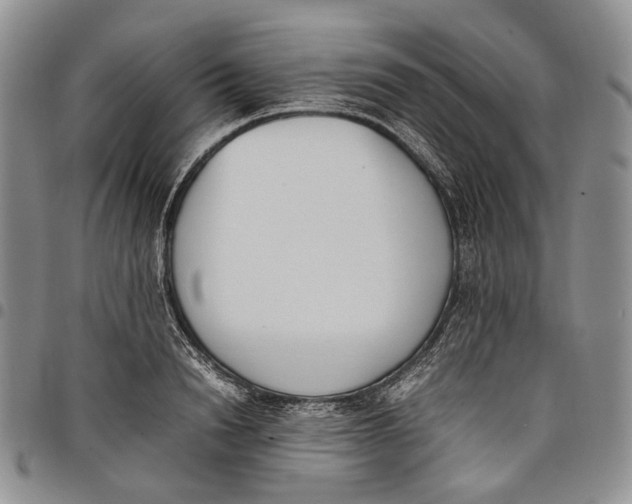 X0000097980846200804141115