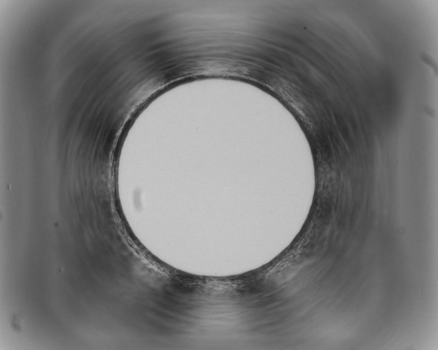 X0000097980848200804141115