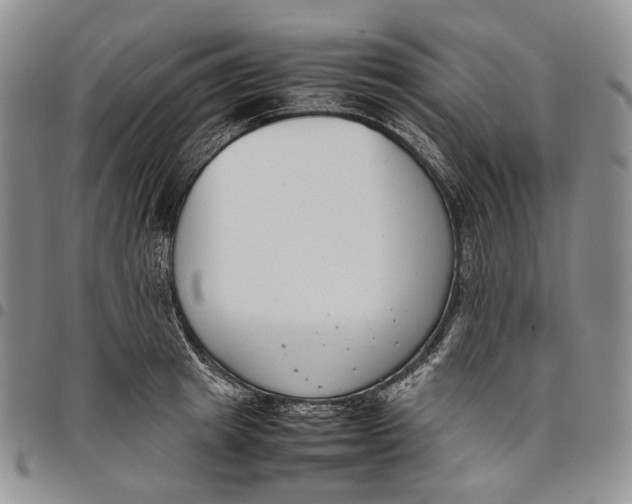 X0000097980849200804141115