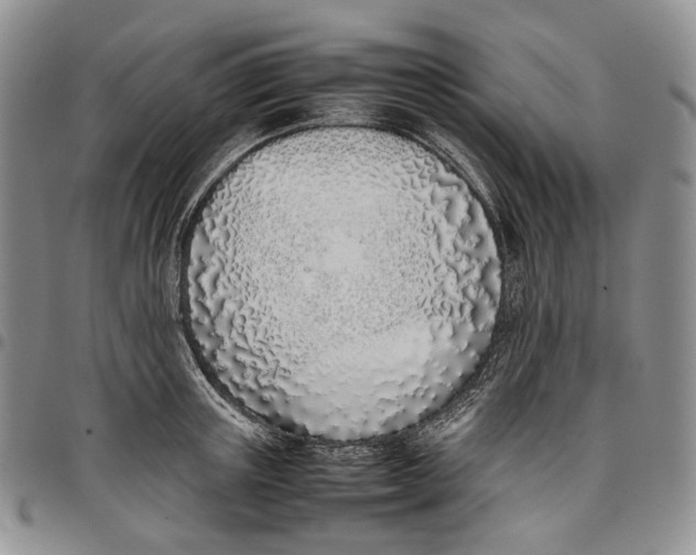 X0000097980851200804141115