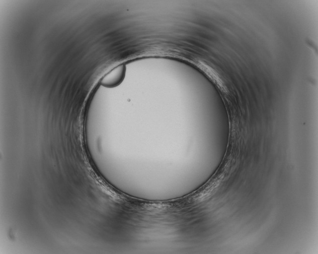 X0000097980854200804141115