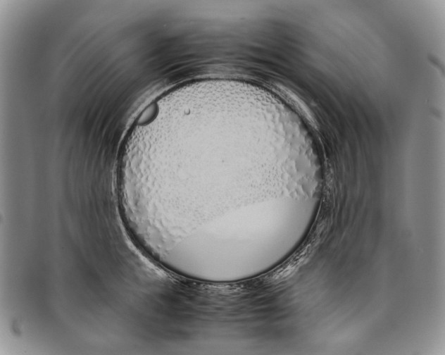 X0000097980855200804141116