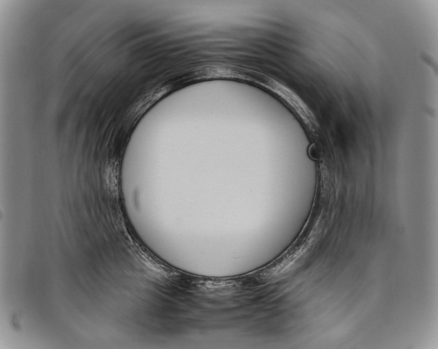 X0000097980857200804141116