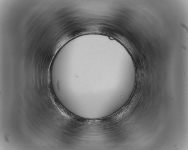 X0000097980858200804141116