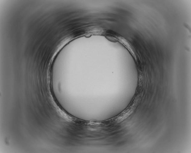 X0000097980859200804141116