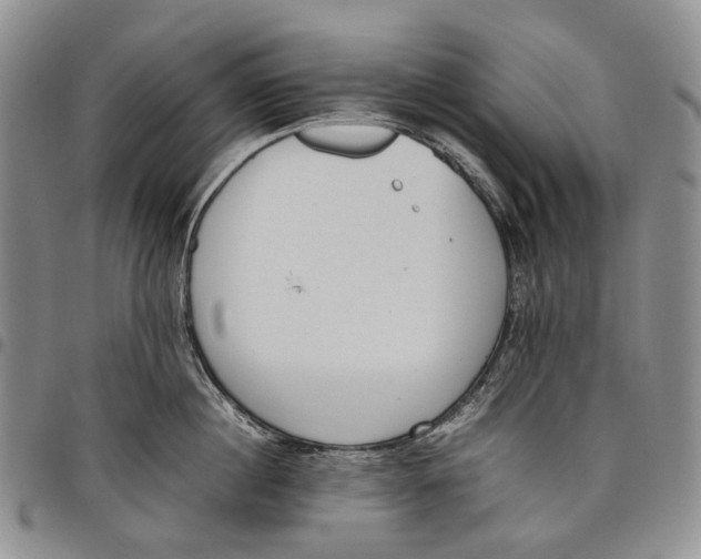 X0000097980860200804141116